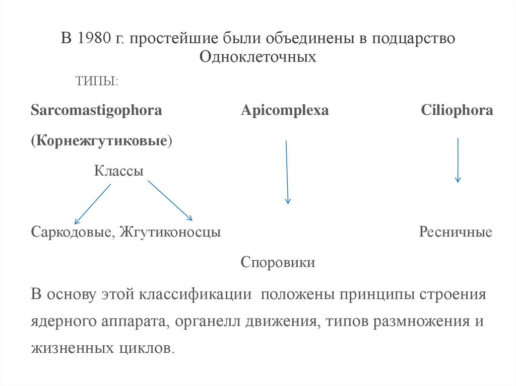 В 1980 г. простейшие были объединены в подцарство Одноклеточных