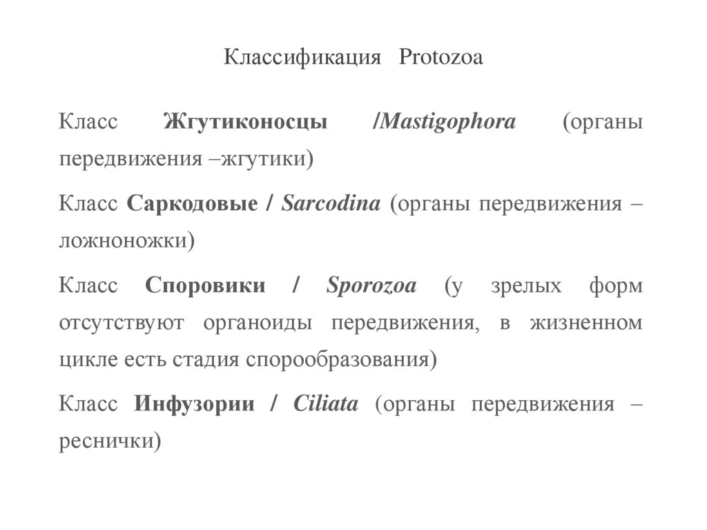 Классификация Protozoa