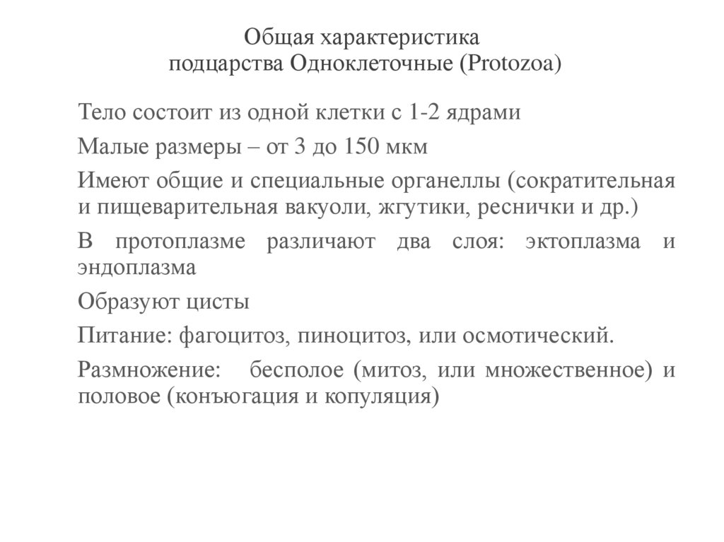 Общая характеристика подцарства Одноклеточные (Protozoa)