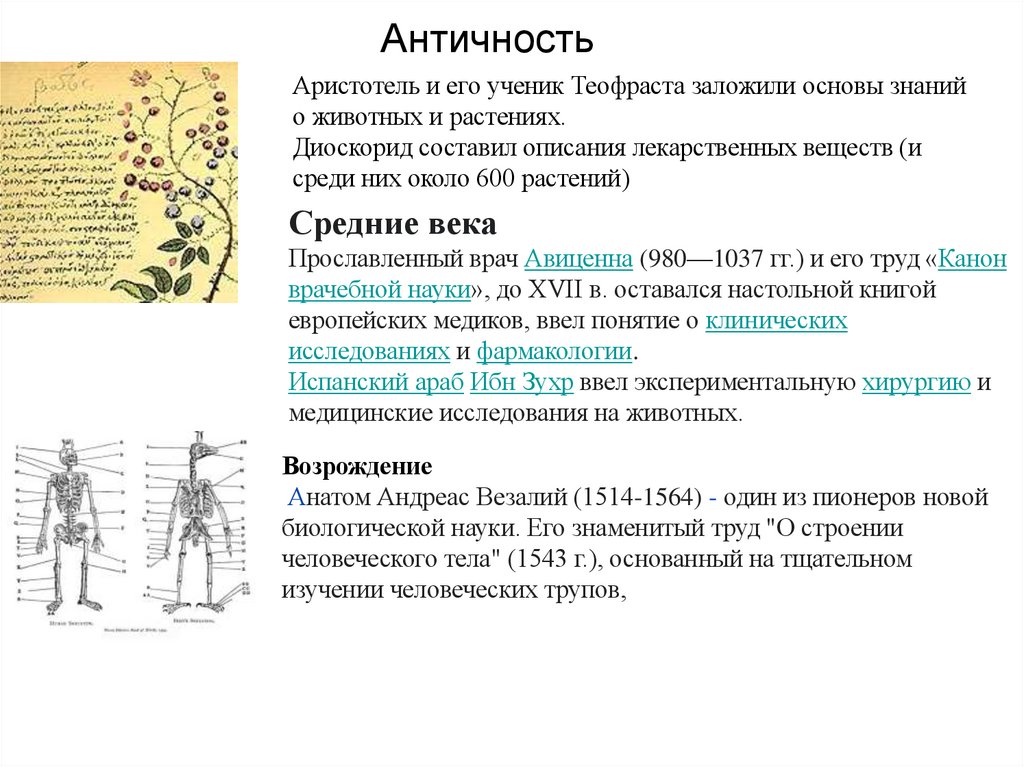 Античность