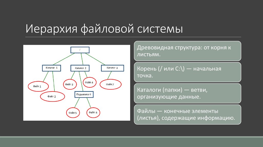 Иерархия файловой системы