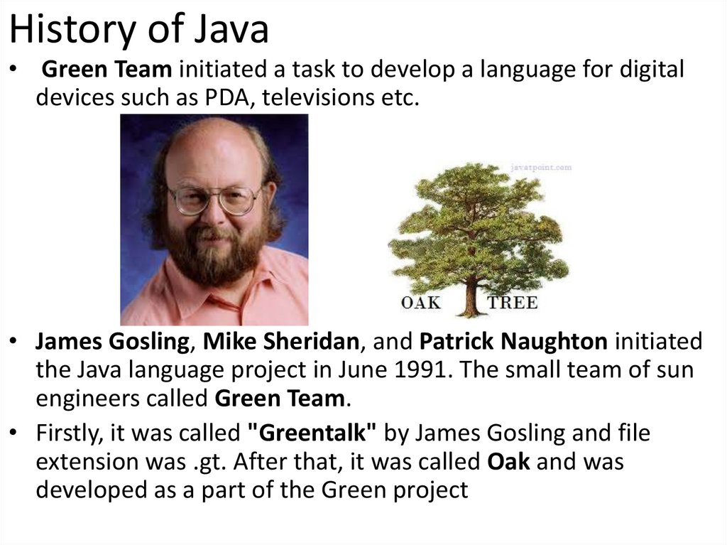 History of Java