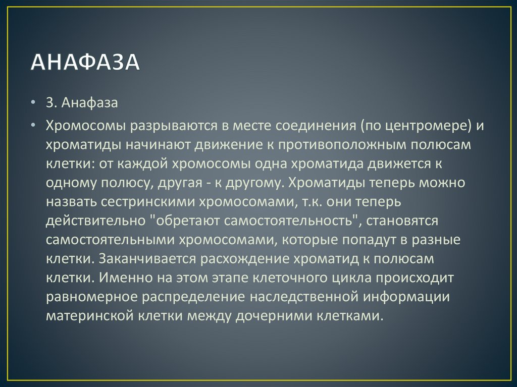 АНАФАЗА