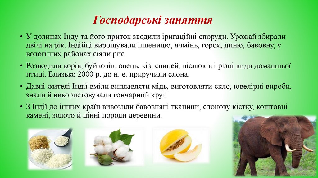 Господарські заняття