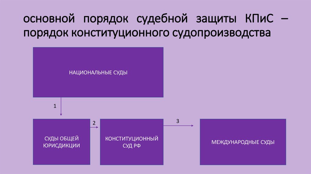 основной порядок судебной защиты КПиС – порядок конституционного судопроизводства