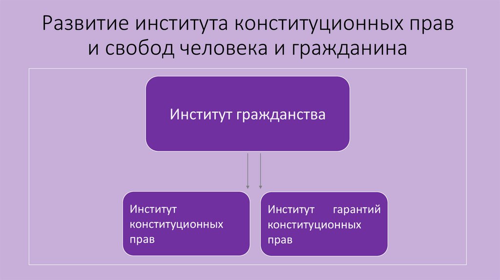 Развитие института конституционных прав и свобод человека и гражданина