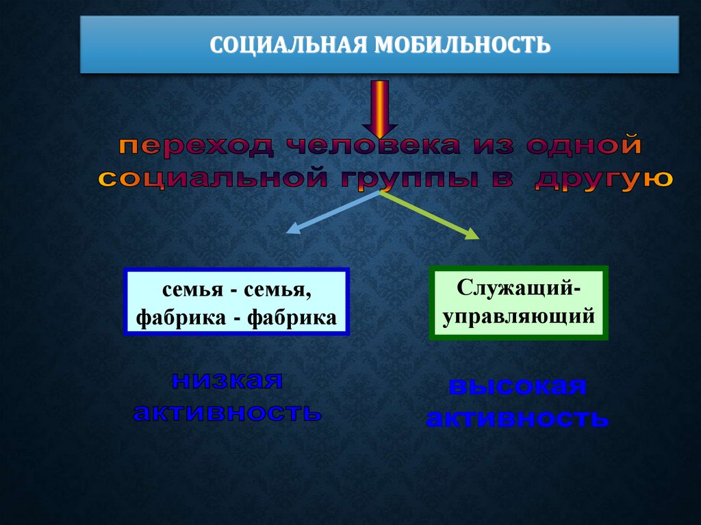 Социальная мобильность