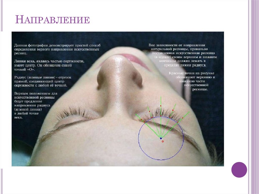 Направление