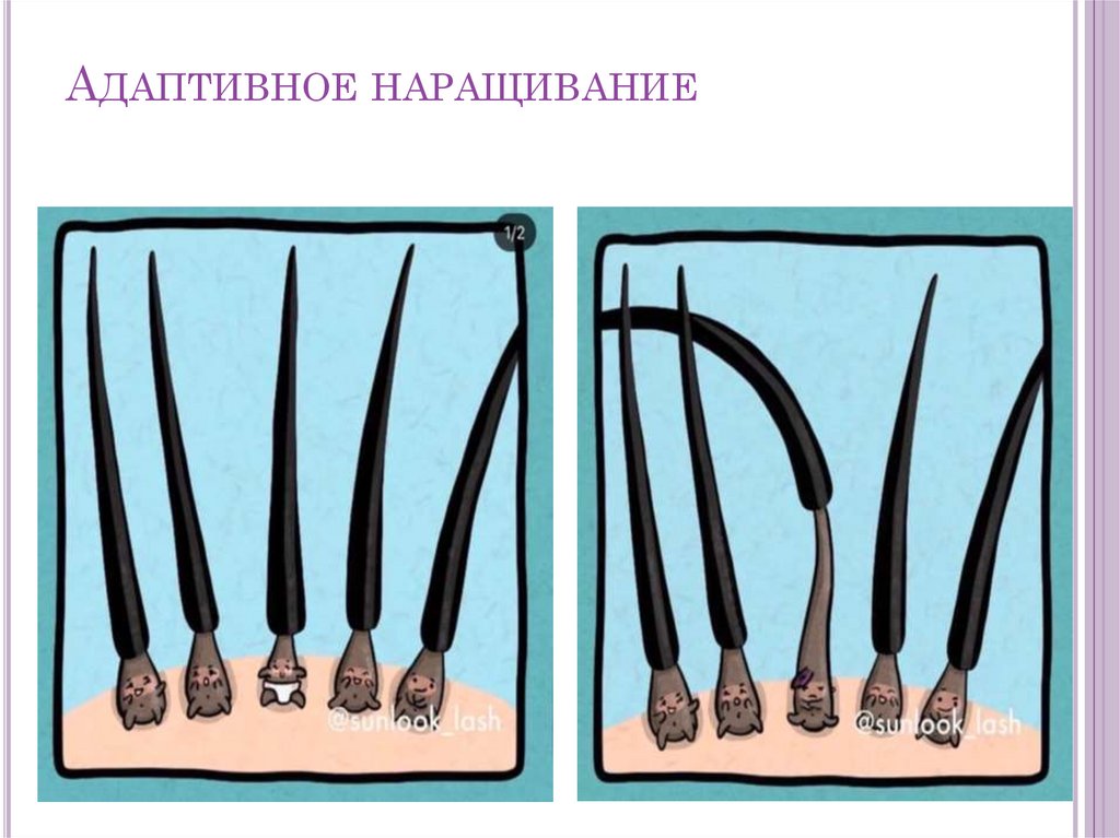 Адаптивное наращивание