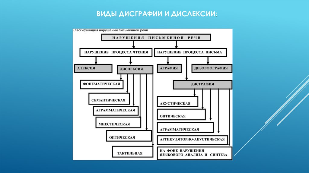 Виды дисграфии и дислексии: