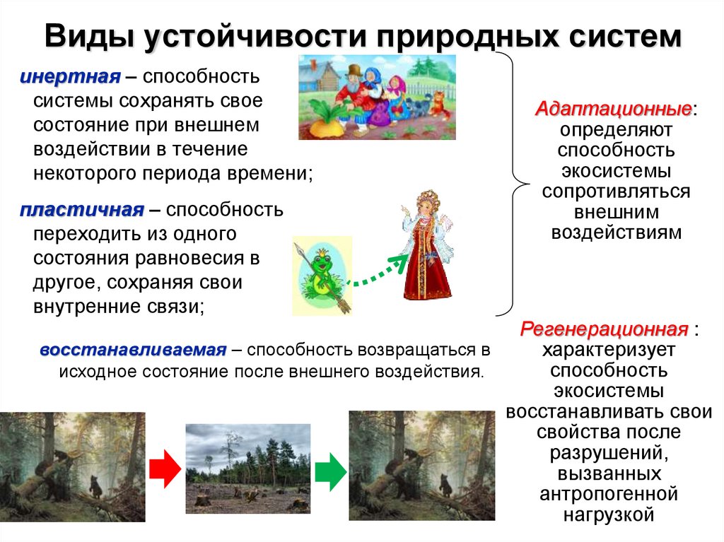 Виды устойчивости природных систем
