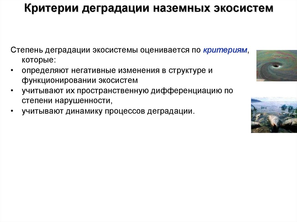 Критерии деградации наземных экосистем