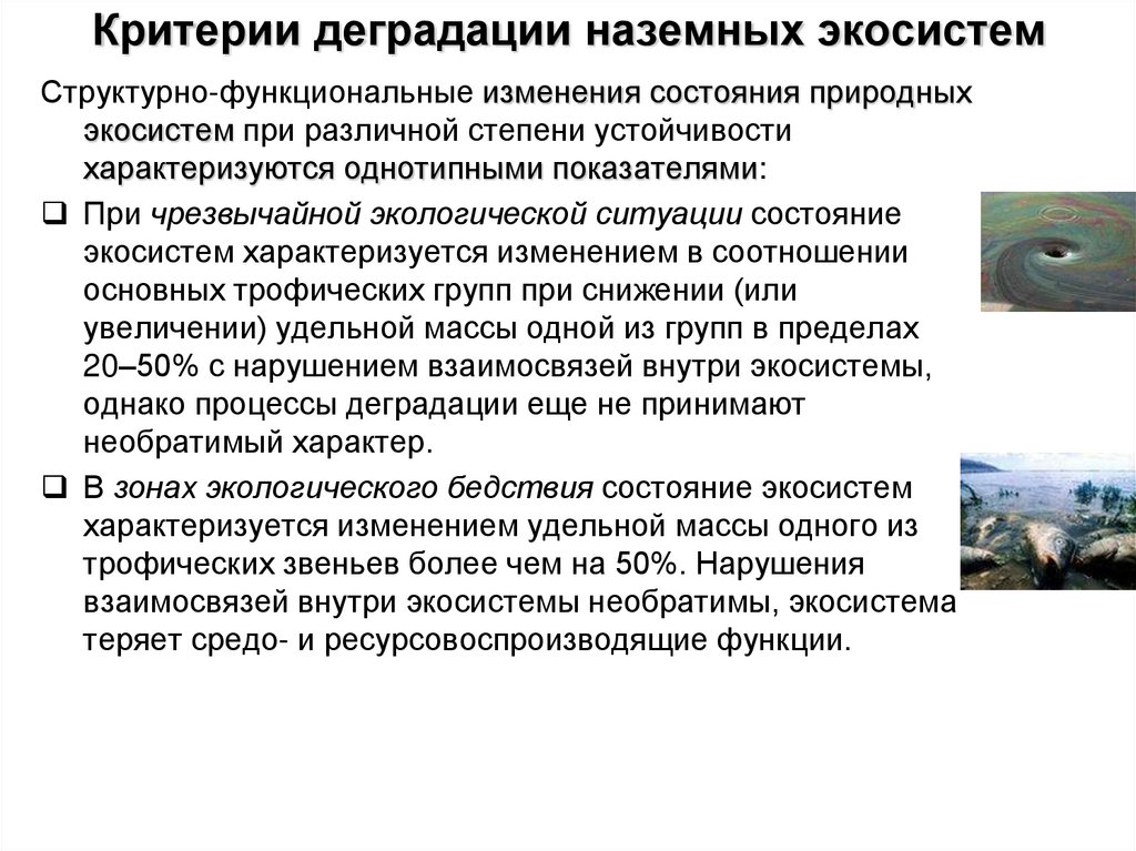 Критерии деградации наземных экосистем