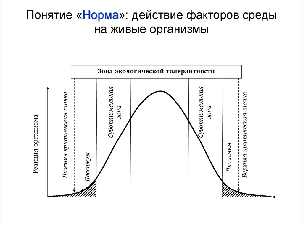Понятие «Норма»: действие факторов среды на живые организмы