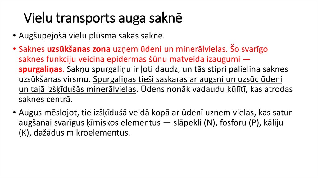 Vielu transports auga saknē