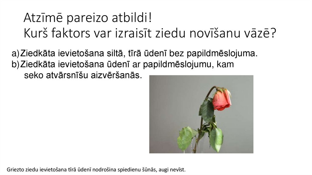 Atzīmē pareizo atbildi! Kurš faktors var izraisīt ziedu novīšanu vāzē?