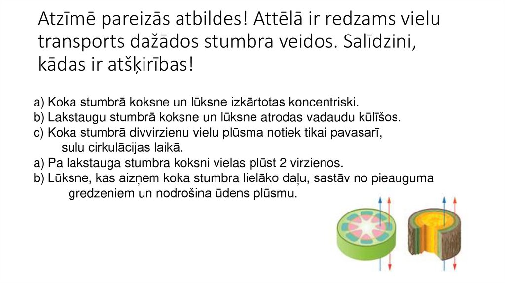 Atzīmē pareizās atbildes! Attēlā ir redzams vielu transports dažādos stumbra veidos. Salīdzini, kādas ir atšķirības!