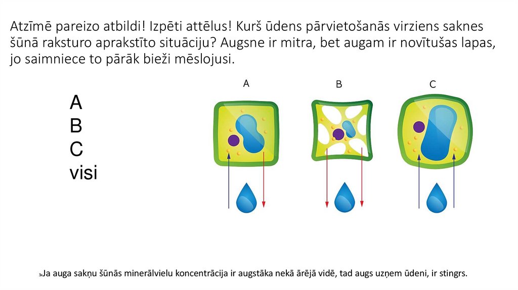 Atzīmē pareizo atbildi! Izpēti attēlus! Kurš ūdens pārvietošanās virziens saknes šūnā raksturo aprakstīto situāciju? Augsne ir