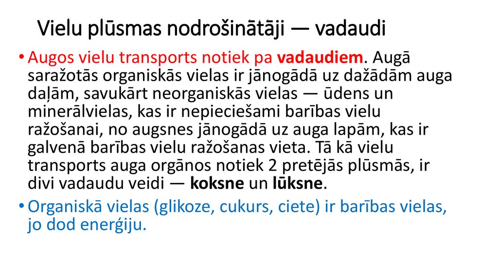 Vielu plūsmas nodrošinātāji — vadaudi