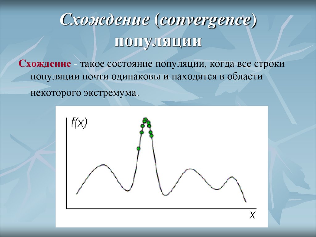 Схождение (convergence) популяции