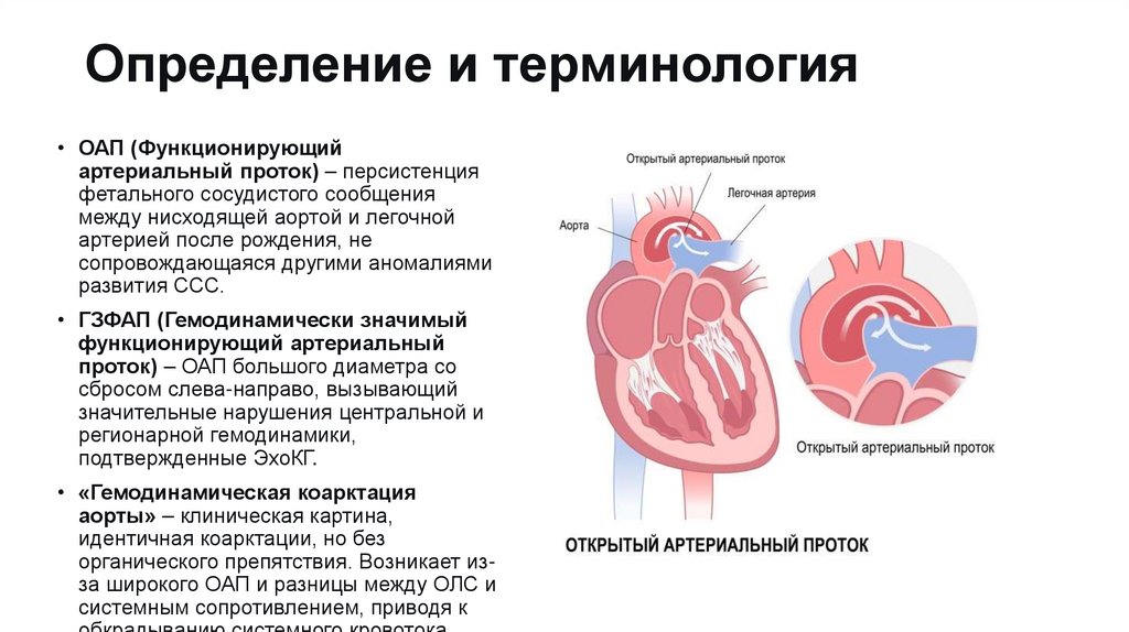 Определение и терминология