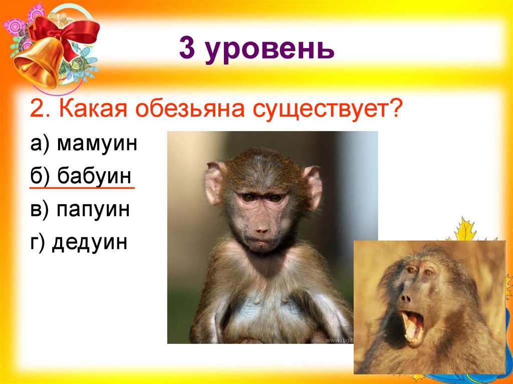 3 уровень