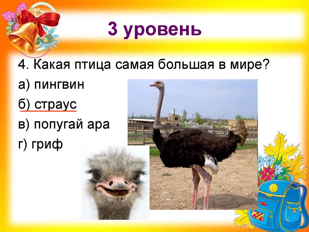 3 уровень