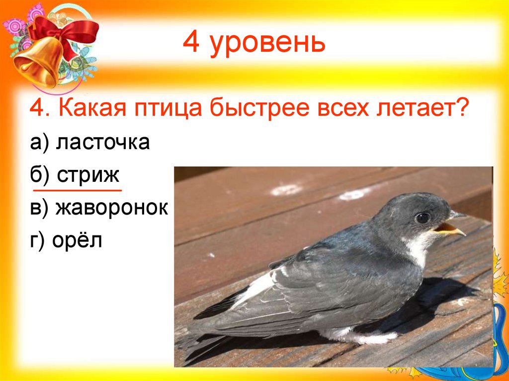 4 уровень