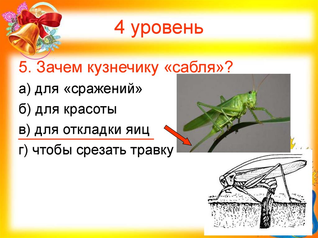 4 уровень