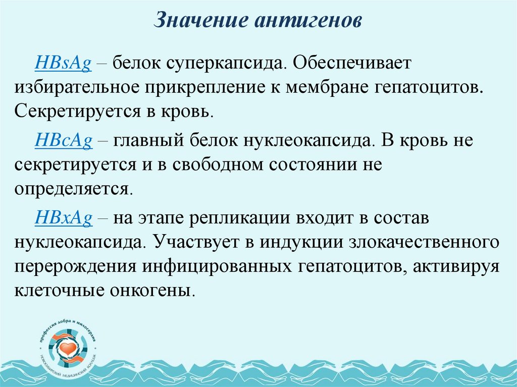 Значение антигенов