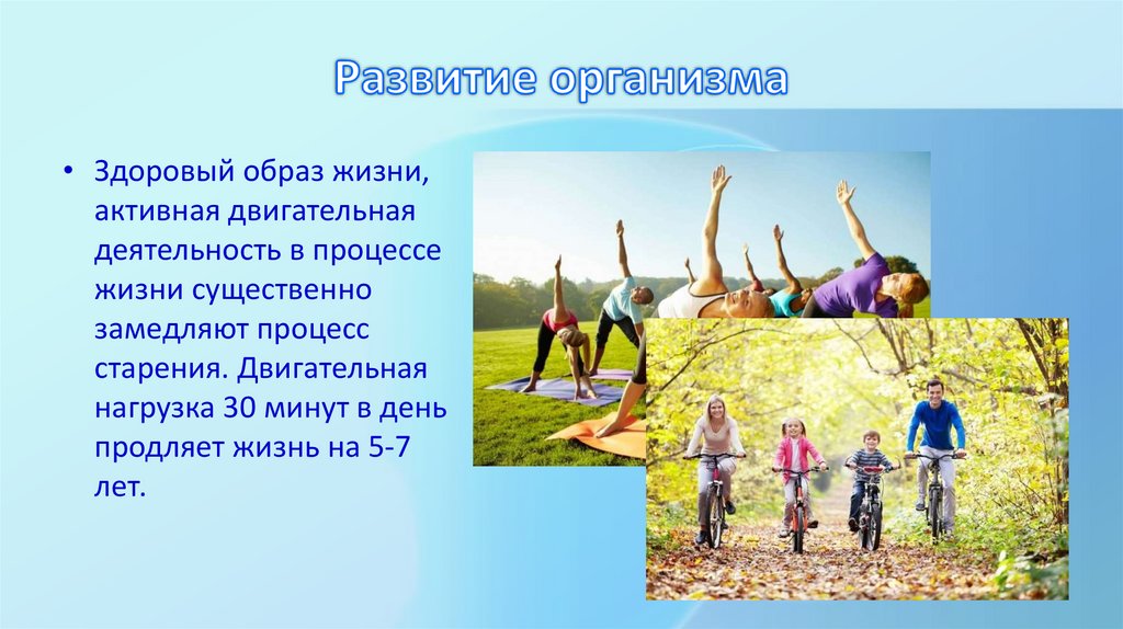 Развитие организма