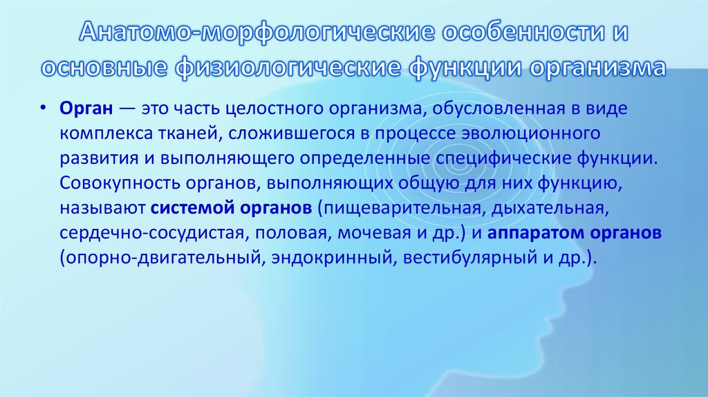 Анатомо-морфологические особенности и основные физиологические функции организма