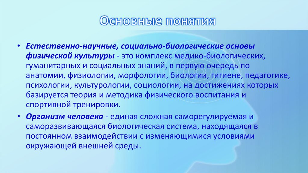 Основные понятия