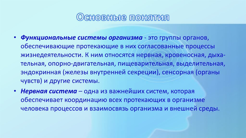 Основные понятия