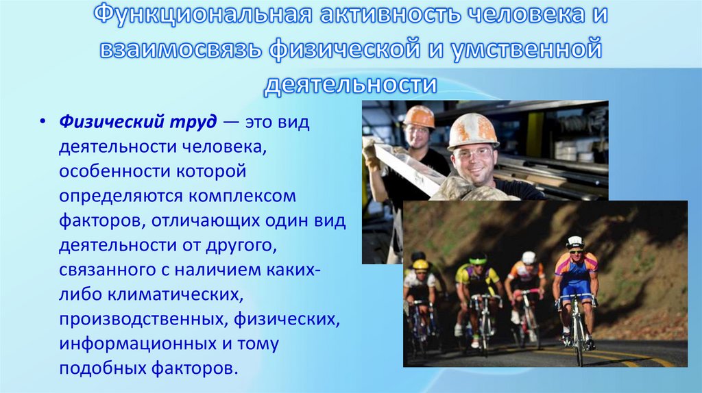 Функциональная активность человека и взаимосвязь физической и умственной деятельности