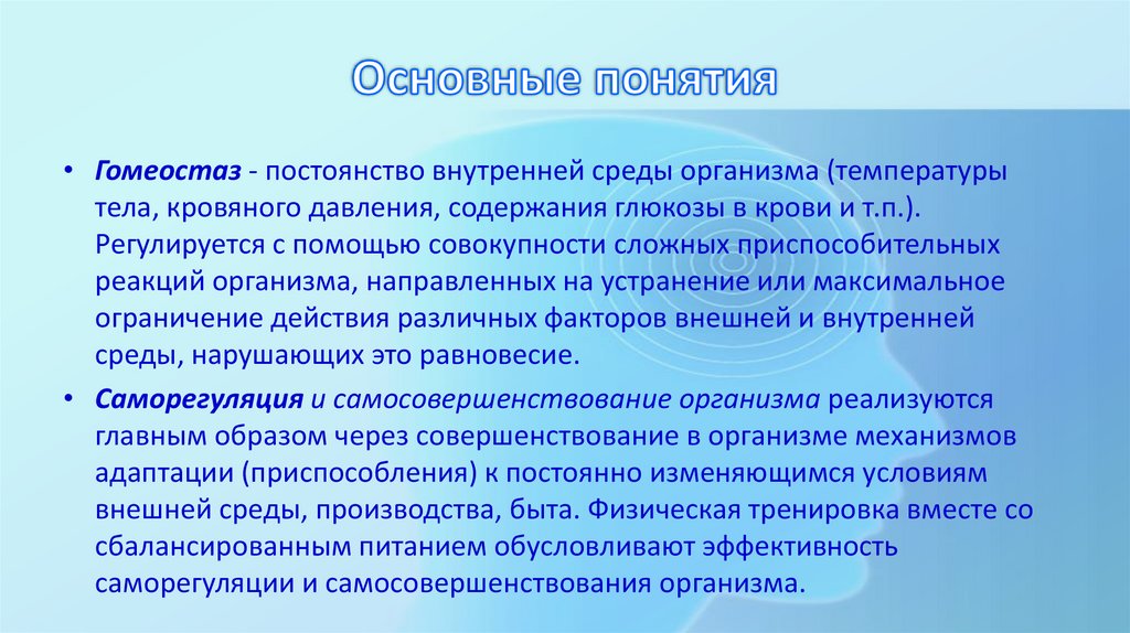 Основные понятия