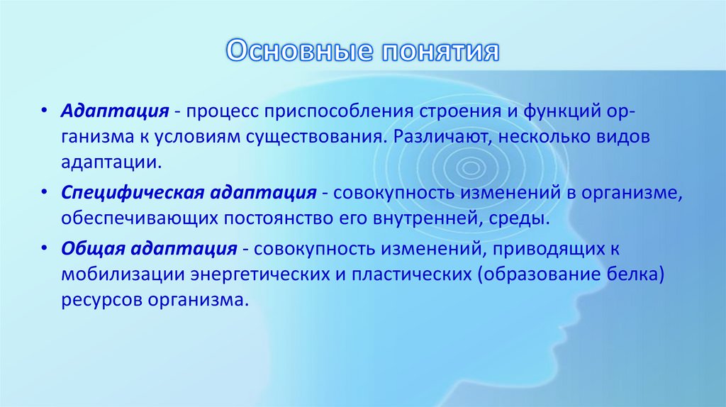 Основные понятия