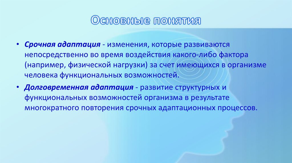 Основные понятия