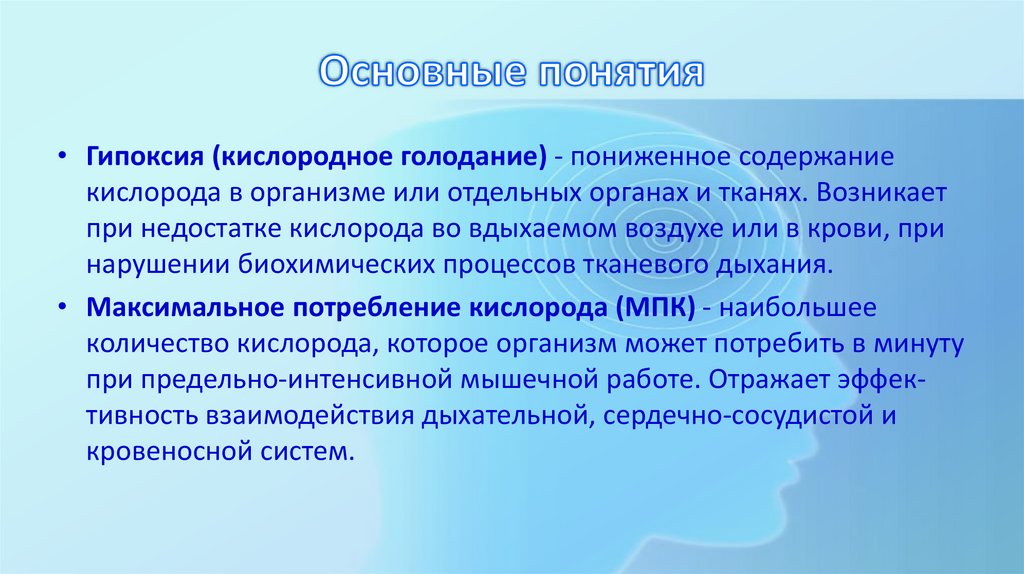 Основные понятия