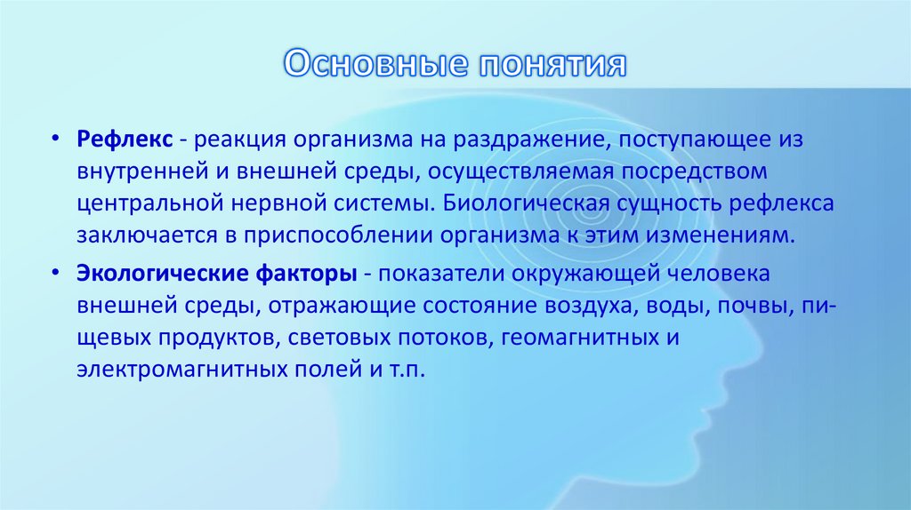 Основные понятия