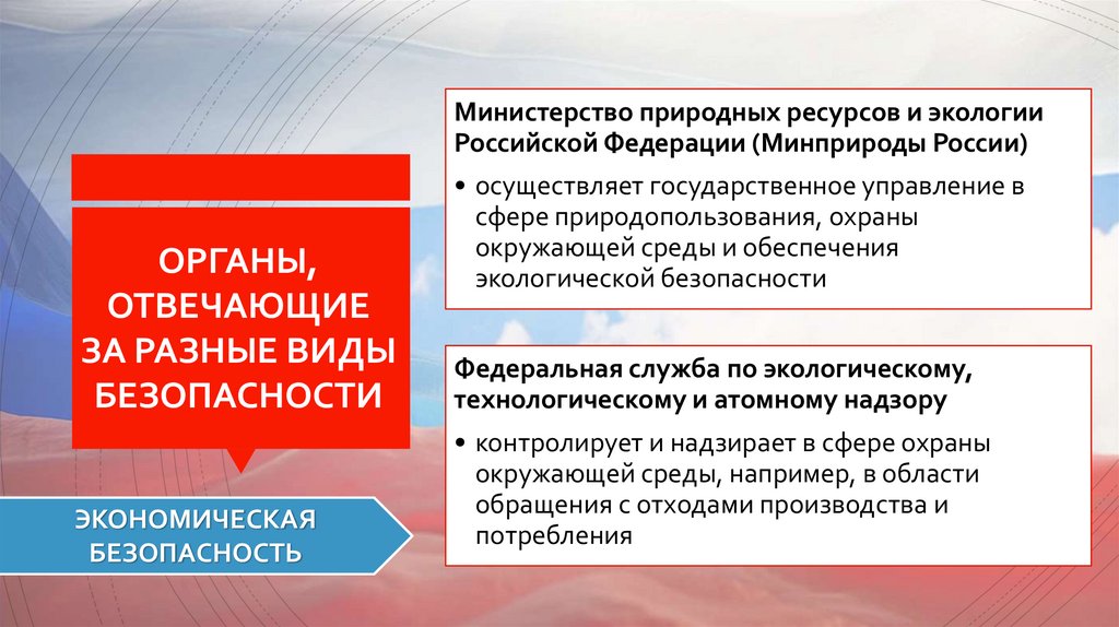 ОРГАНЫ, ОТВЕЧАЮЩИЕ ЗА РАЗНЫЕ ВИДЫ БЕЗОПАСНОСТИ