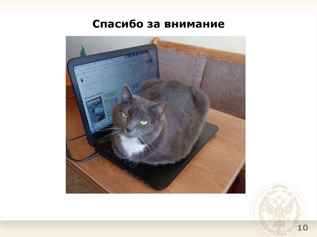 Спасибо за внимание