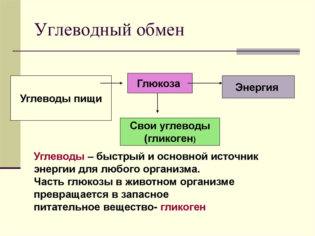 Углеводный обмен