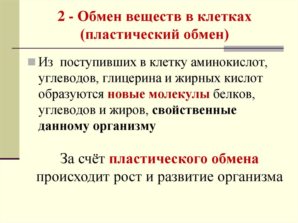 2 - Обмен веществ в клетках (пластический обмен)