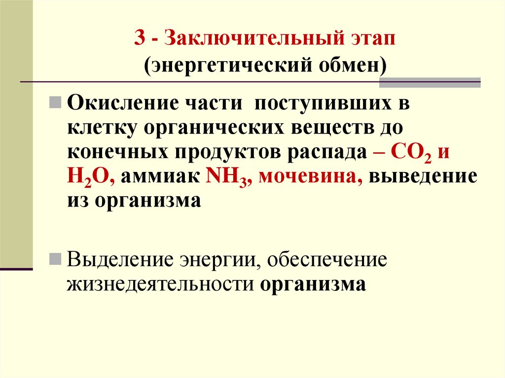 3 - Заключительный этап (энергетический обмен)