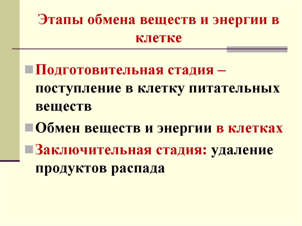 Этапы обмена веществ и энергии в клетке