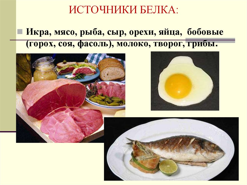 ИСТОЧНИКИ БЕЛКА: