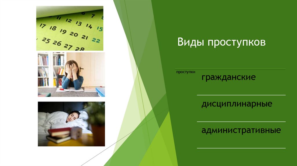 Виды проступков