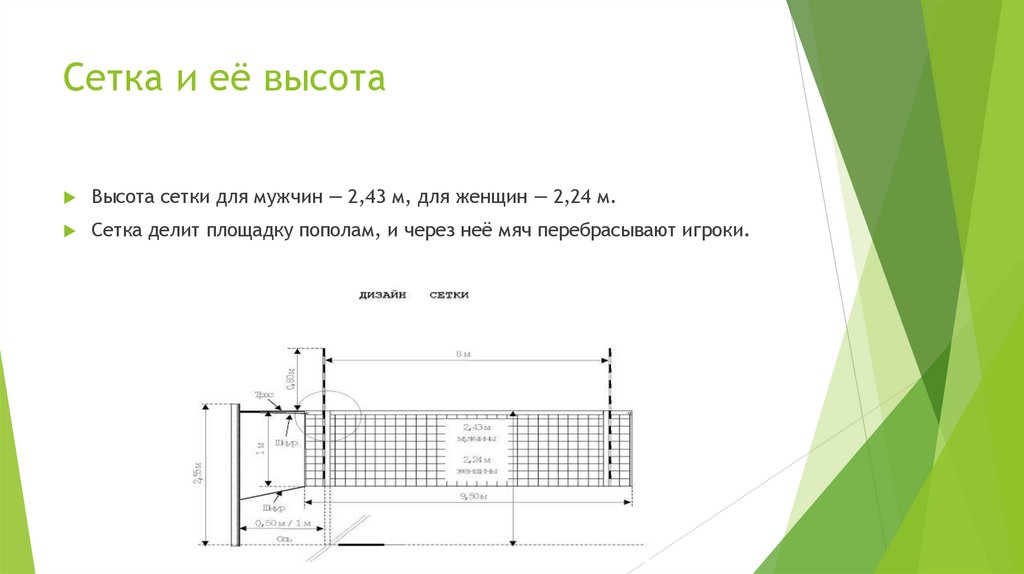 Сетка и её высота