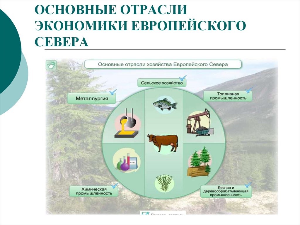 ОСНОВНЫЕ ОТРАСЛИ ЭКОНОМИКИ ЕВРОПЕЙСКОГО СЕВЕРА